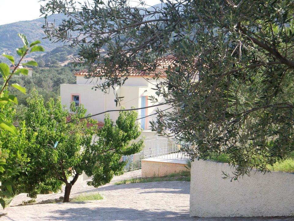 Lassia Studios Petra  Exteriér fotografie
